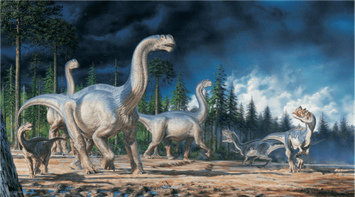 现场|宇航人v9沙棘龙亮相上海国家会展中心