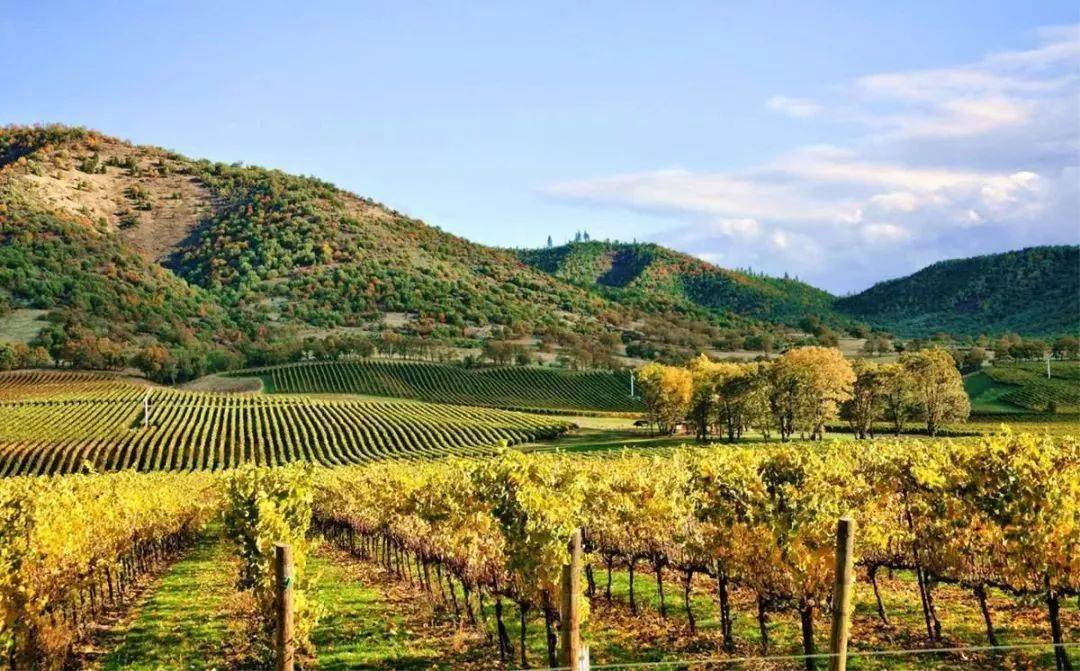 美国最成功的农业特色小镇集群纳帕谷