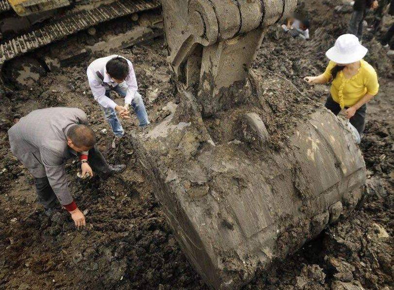 瑞士民法关于埋藏物发现制度的规定,埋藏物的所有权归埋藏物的包藏物