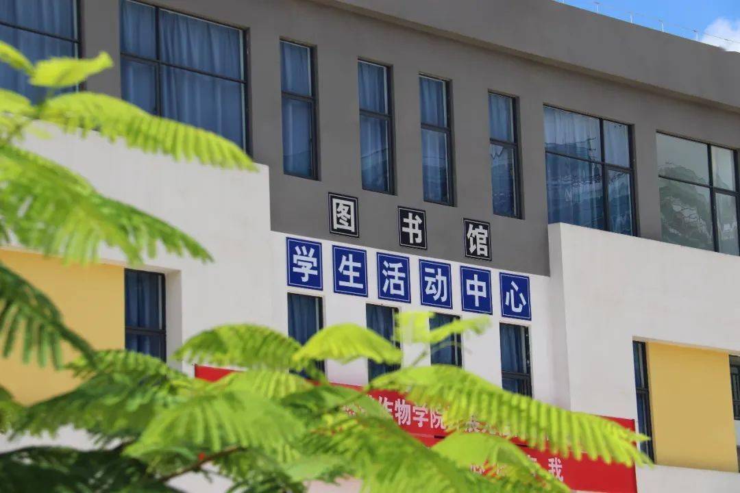 专科毕业证》原件和《教育部学历证书电子注册备案表》或《中国高等