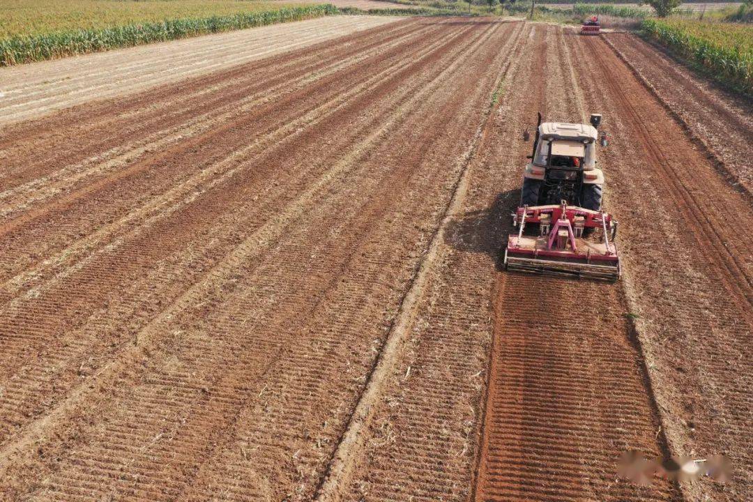 秋忙乐陵乐陵田保姆式服务农业生产秋收秋种一条龙