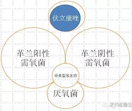 當然還有卡泊芬淨等,但是仍不能完全避免耐藥菌株.