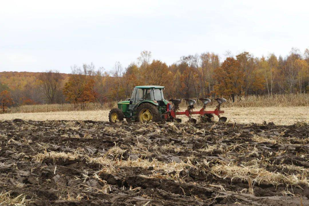 八五一0农场有限公司秋收整地齐头并进