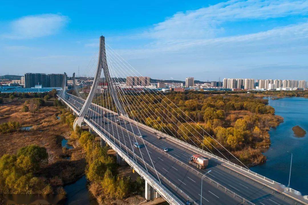 最晚明年,全部淘汰!_洛阳市