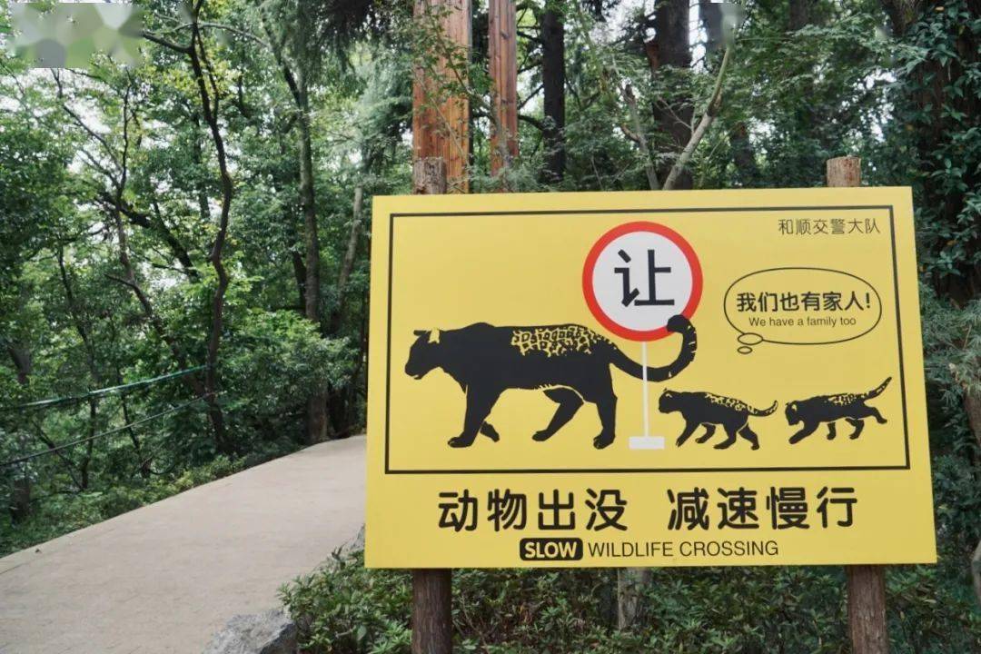 也讓動物園成了長假裡不文明行為氾濫的重災區