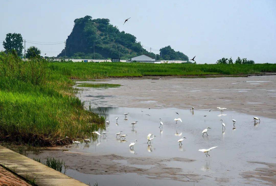 海宁鼎亿农场招聘网站_海宁市招聘信息网