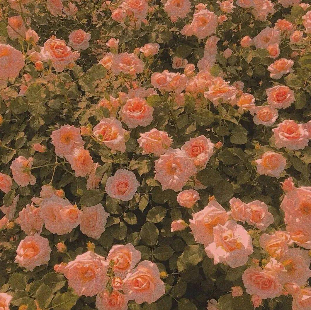 好看的朋友圈背景图~_时光