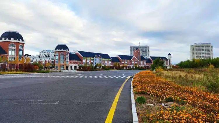 阿荣旗的秋天和你的奶茶哪个更香