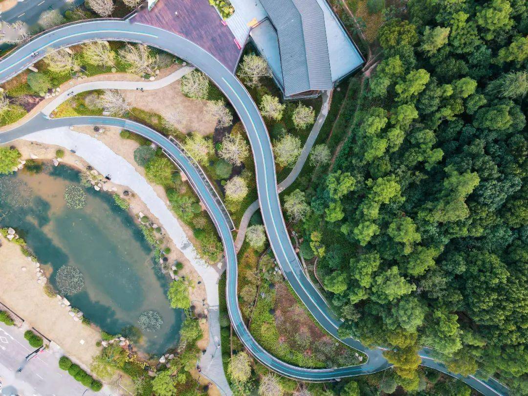 惊艳!临平山下彩虹桥,新晋网红打卡地