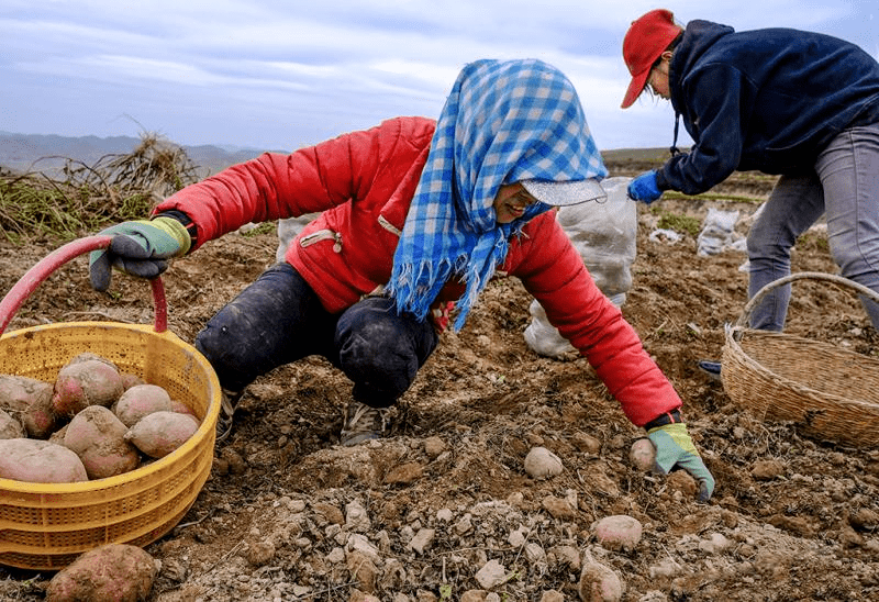 聚焦西海固影像看脱贫彭阳摄影会员走进宁南九县区专题采风活动圆满