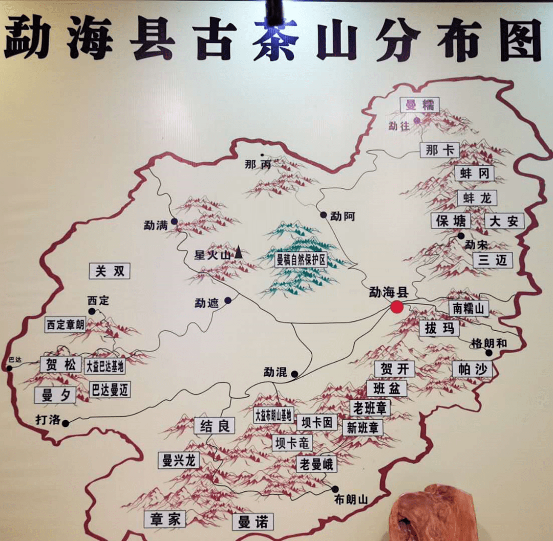 史上最全勐海茶大数据知识来啦