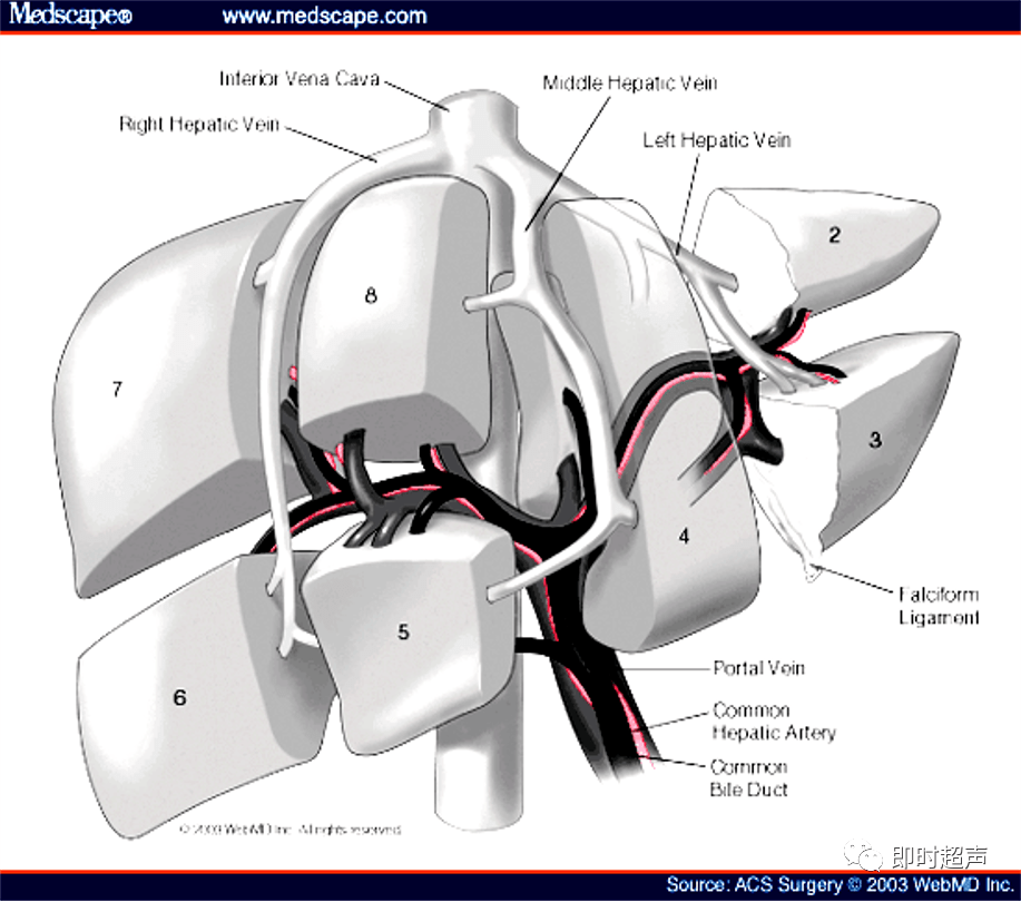 腹腔干celiac trunk是腹主动脉发出的第一个无对(奇数)支,在膈肌稍