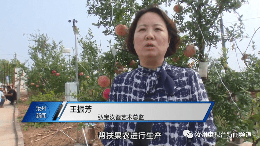 焦村镇士博生态园软籽石榴大丰收_汝州市