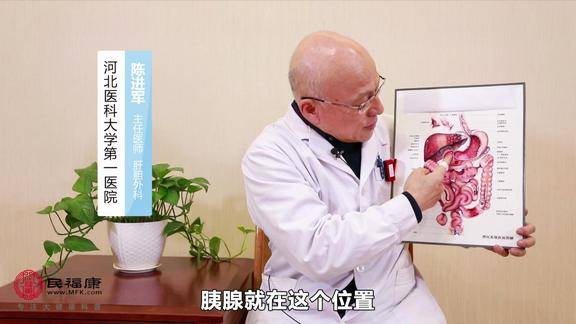 胰腺在人体的什么位置作用是什么