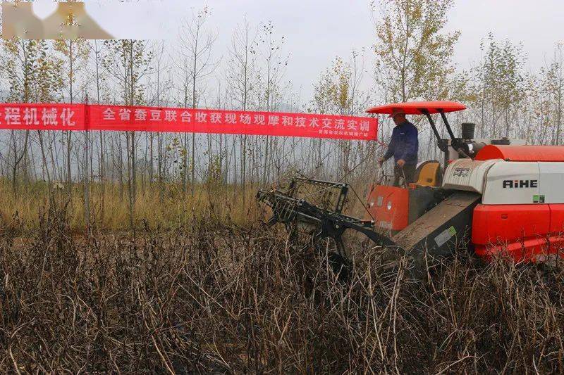 补短板强弱项推进蚕豆生产全程机械化