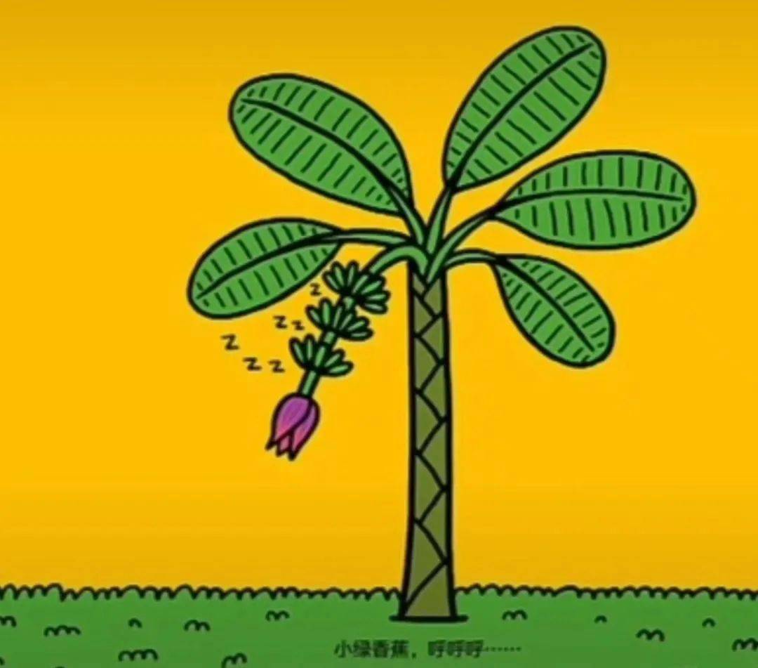 给小朋友的睡前故事丨睡睡镇