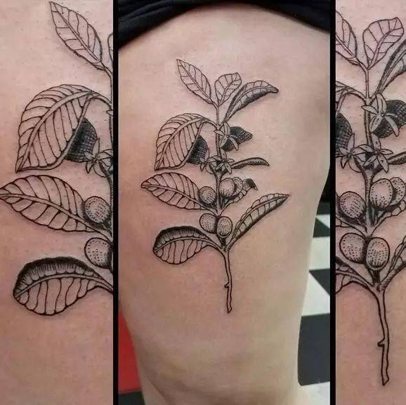 跟咖啡有关的纹身也许你也想要一个