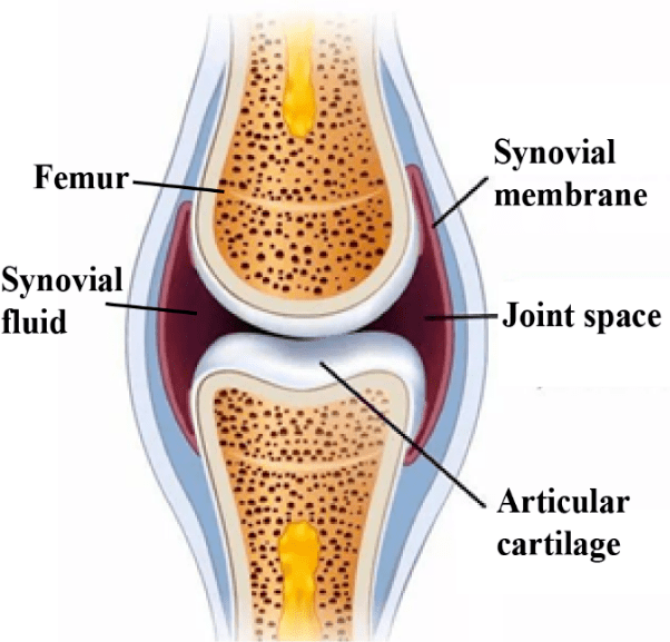 【奋进科学城】透明键盘,人工软骨…这些石墨烯"黑科技"你造么 ?