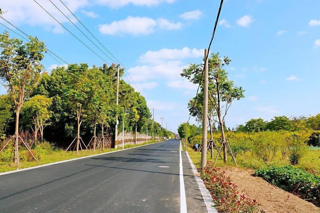 丰产路修好啦书院镇新增一条靓丽乡村风景线