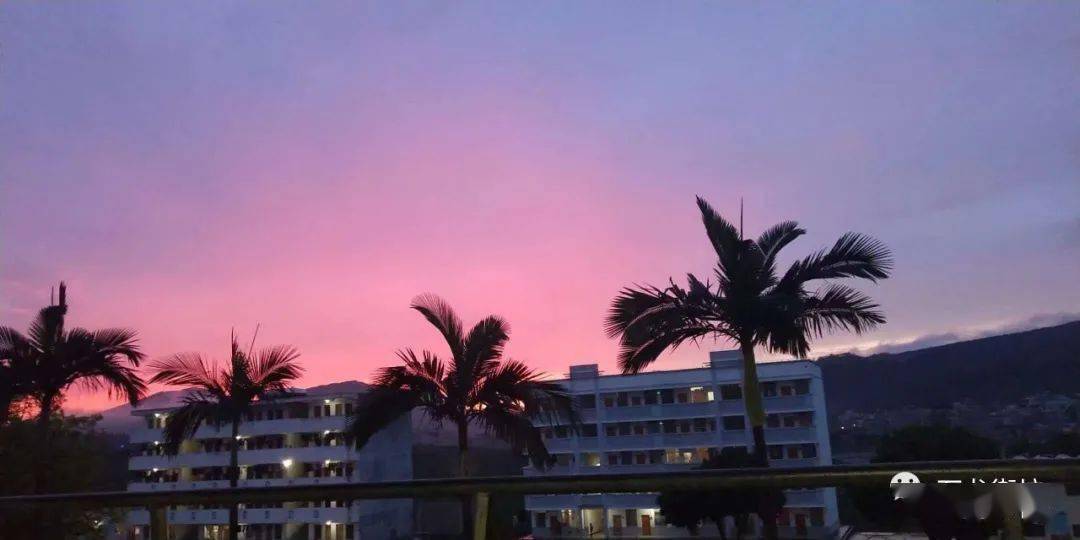 一组石龙二中的旧照片是否看到了当年青涩的你