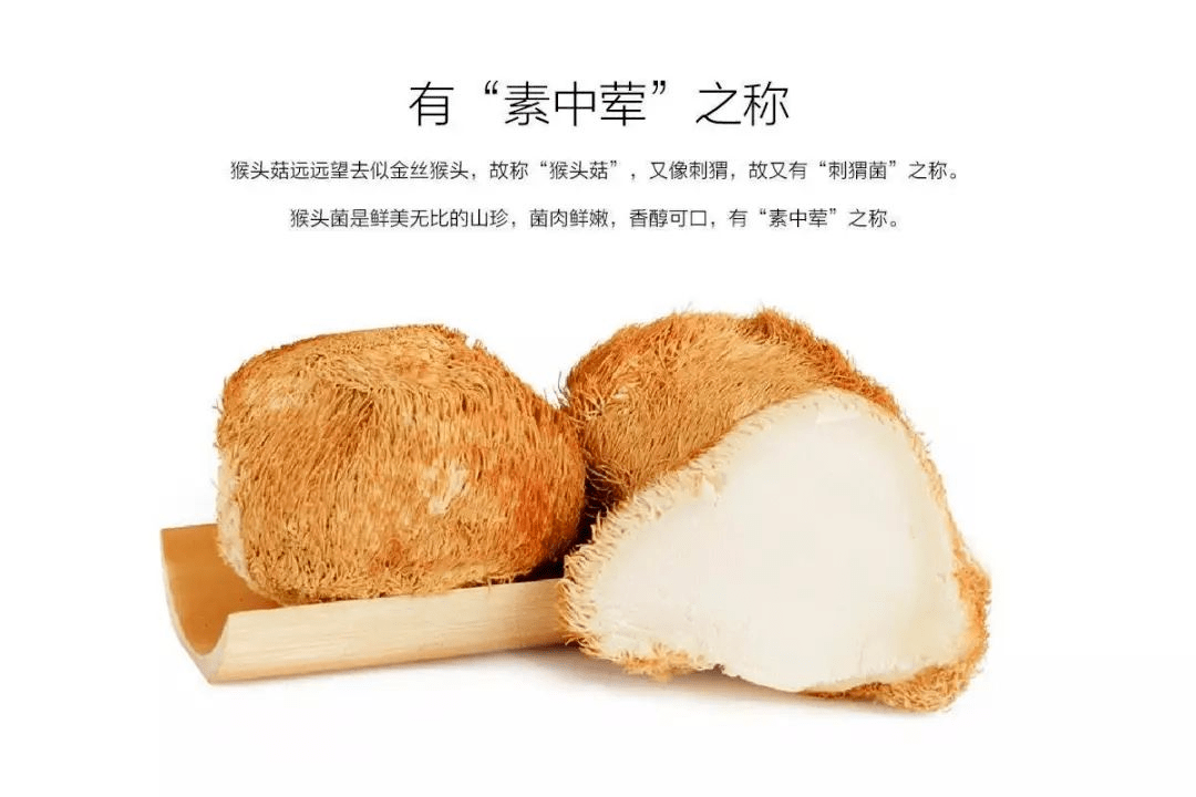 神农发现的养胃神药猴头菇