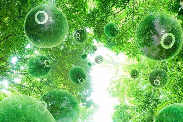 氧气有没有可能是一种慢性毒气，通常需要百年时间内杀死人类 - 气体汇