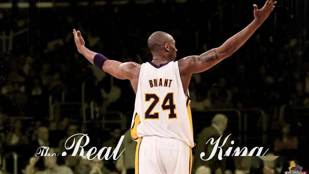 梨花雨科比科比