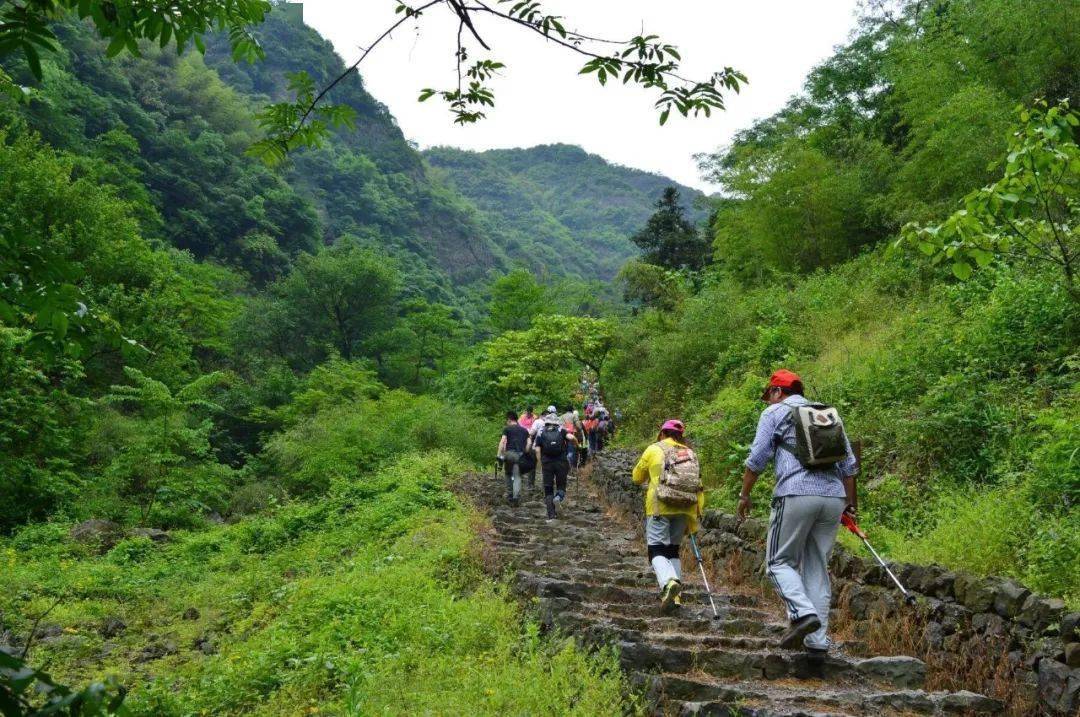 【千年古道】10月24日 浙江十大经典古道~ 香榧古道