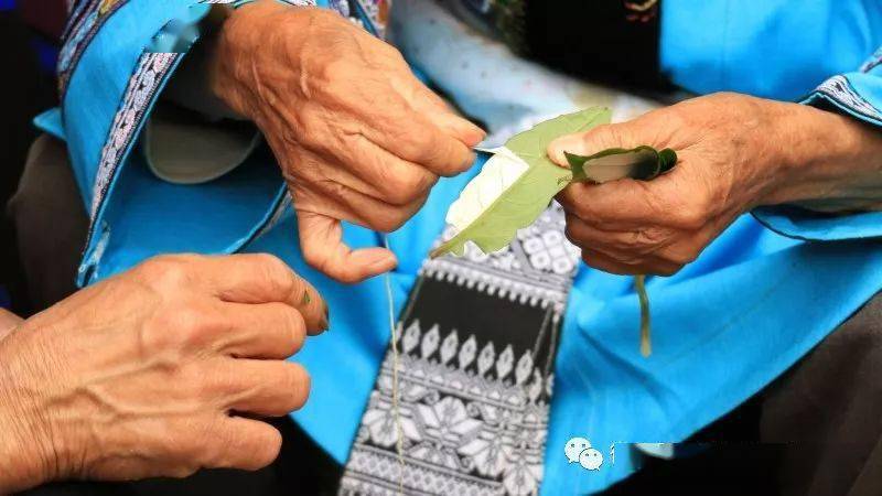 用小草做成的衣服石林撒尼人的火草褂