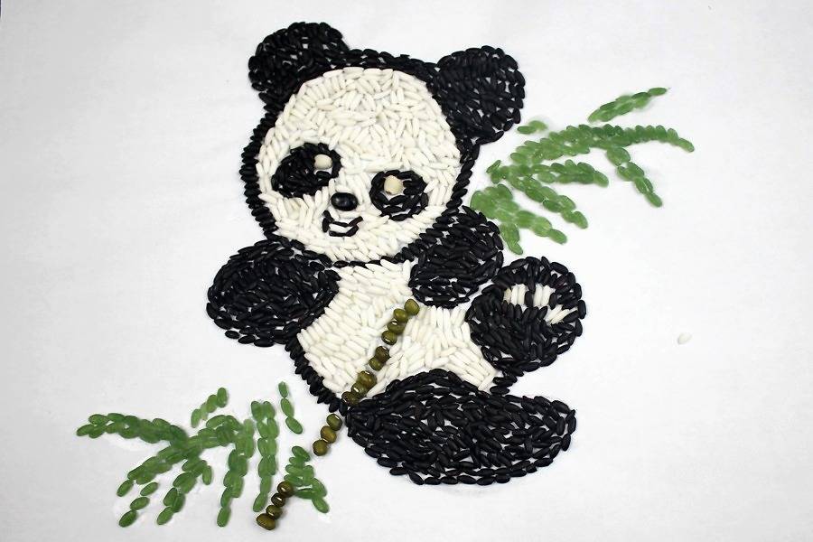 黑白分明的国宝熊猫也能这样玩憨态可掬的样子看上去可爱极了