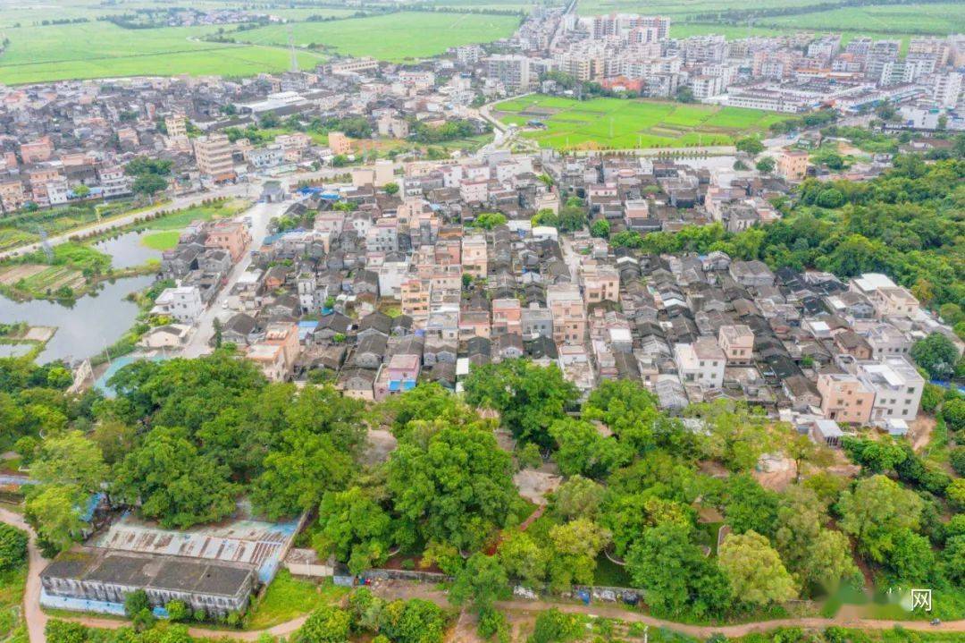 明天上午10点,都斛镇与你不见不散!_台山