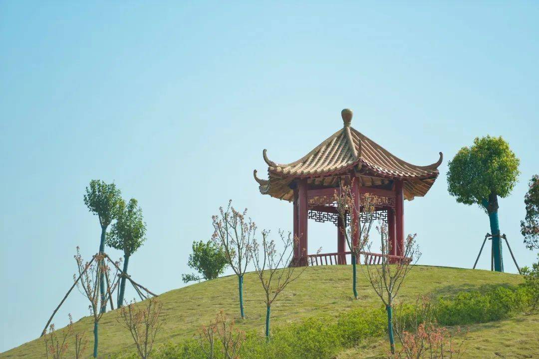 学思践悟三上清风亭