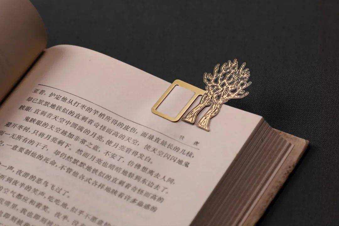 每一页里都得着深厚的趣味