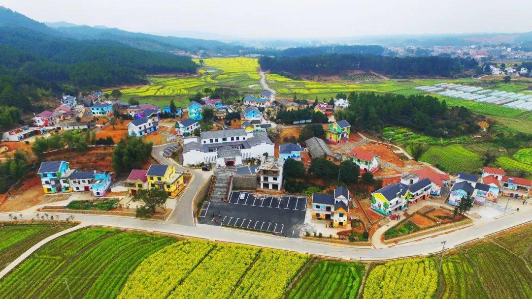 去江西省万安县高陂镇的田北农民画村,我亲手拍下的图片不多.