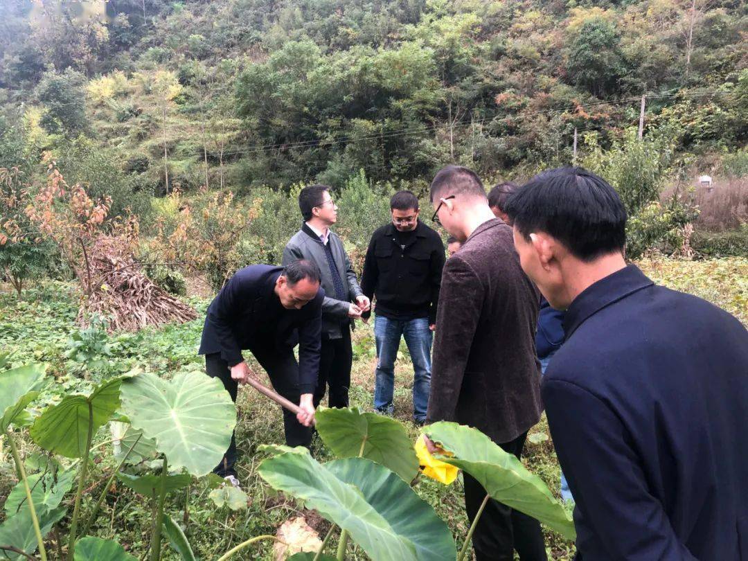 (渔渡镇 陈磊)10月16日,渔渡坝社区邀请西北农林科技大学生命科学学院