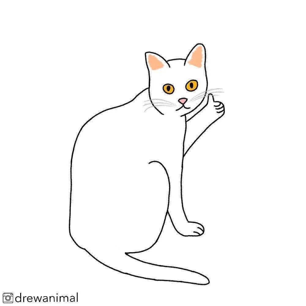 又来了喵星人的迷惑行为