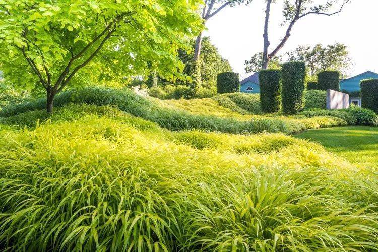 67insitu花园美式乡村田园景观的代表