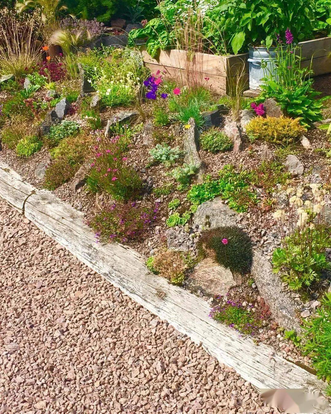 当碎石遇到花镜碎石的素雅衬托花境的绚烂使得花更美,路更幽end公司