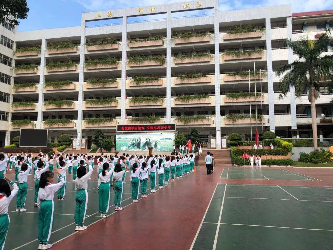 棠下小学少先队员代表会顺利召开博爱博学有情怀立德立志好少年