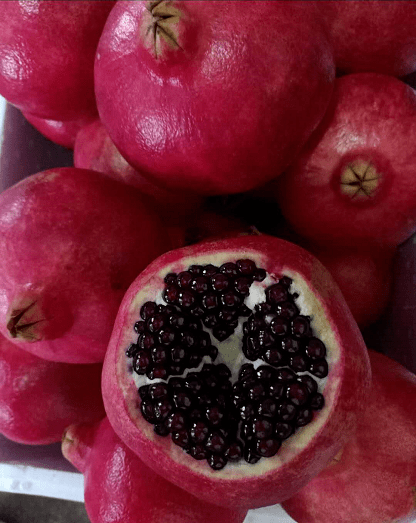 这种黑珍珠石榴售价高达120元公斤有啥与众不同