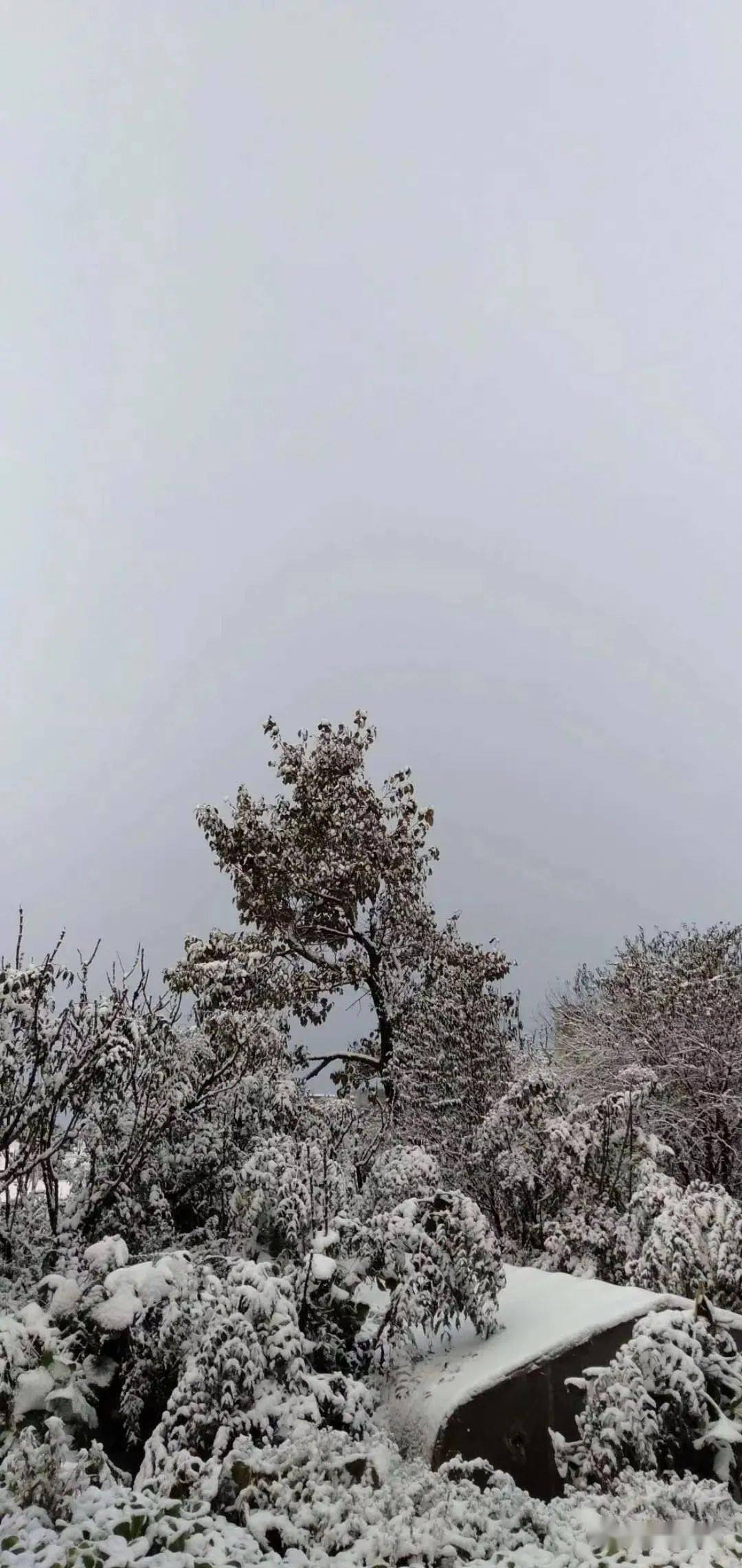 昭通大山包下雪啦