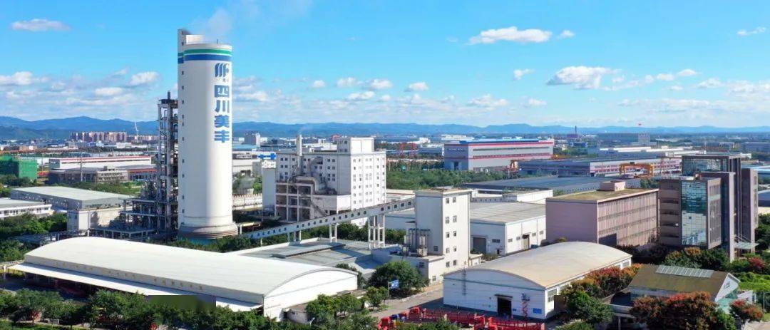 祝贺四川美丰再次上榜中国石油和化工企业500强