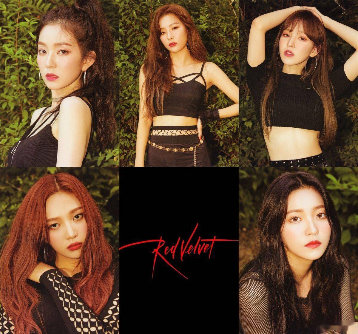 redvelvet是sm中唯一一个全员选秀出身的组合