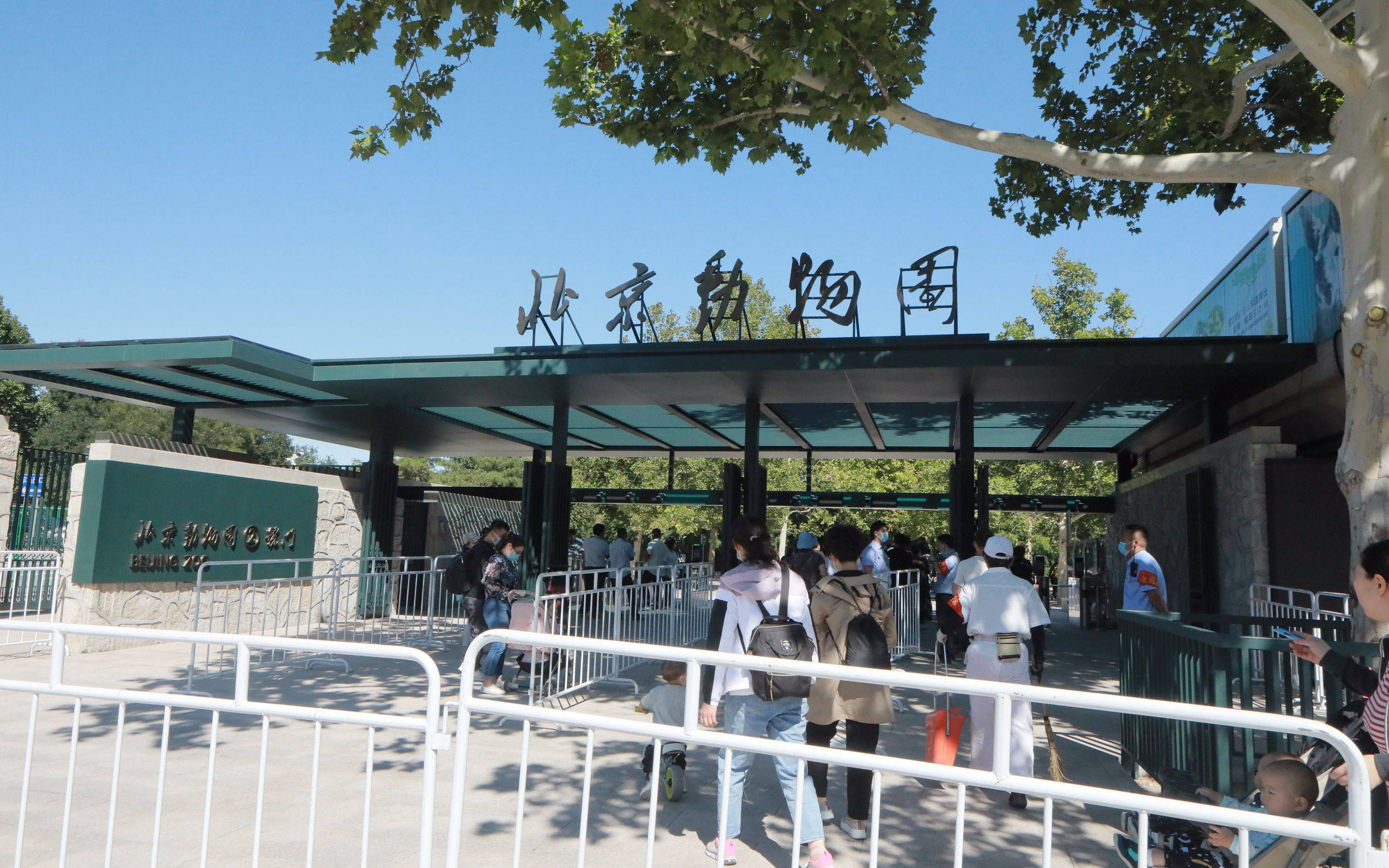 北京动物园大门照片图片