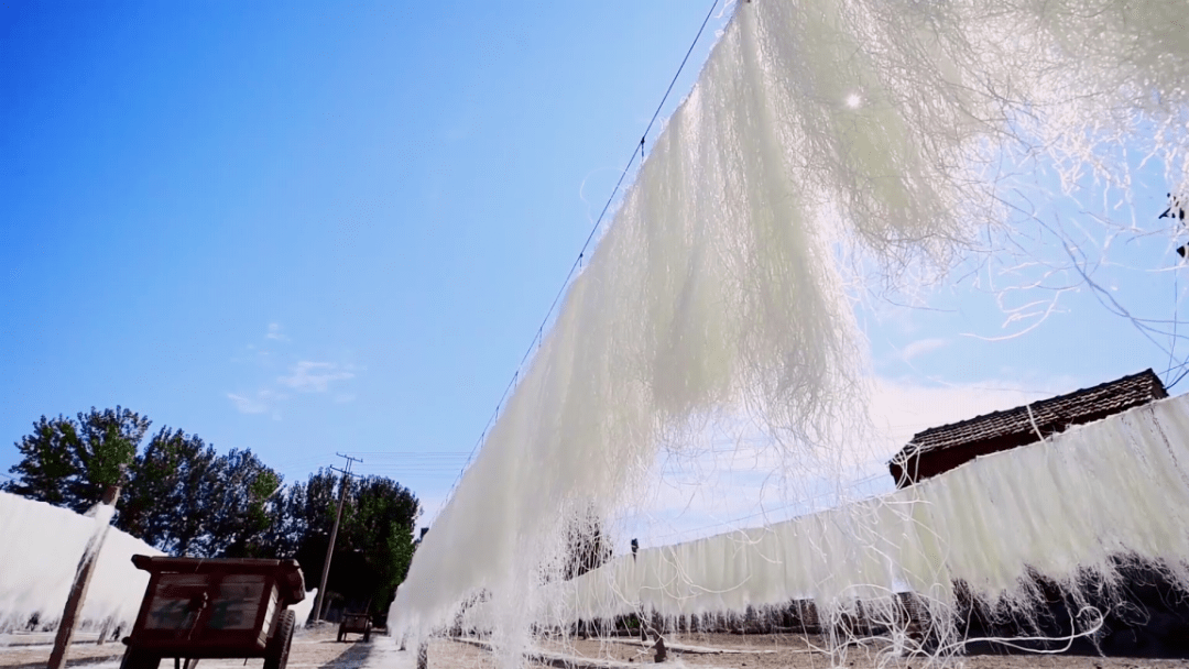 中国影像方志龙口莱子古国岁月沧桑齐鲁商道富甲一方