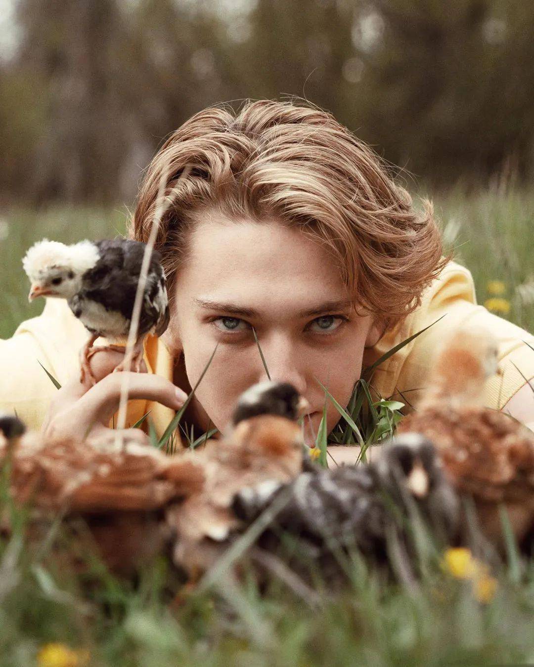 julian mackay的照片,特地没有打水印,有没有很贴心!