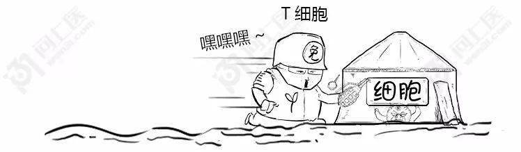 漫画科普只知道免疫力很牛知道是怎么个牛法儿嘛