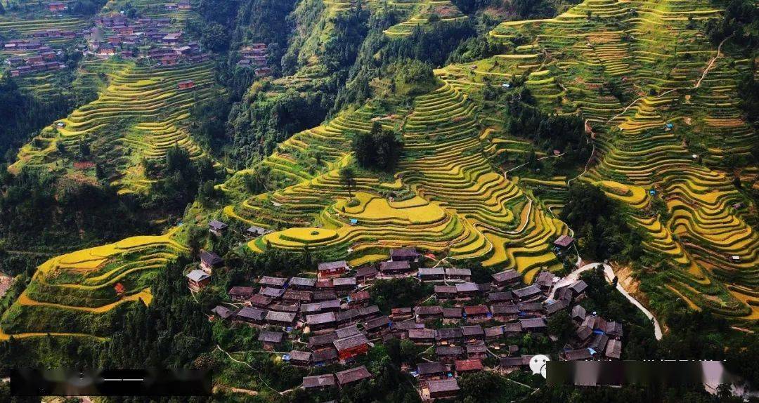 摄影采风报名中2020年贵州三都水族端节民俗摄影采风创作活动