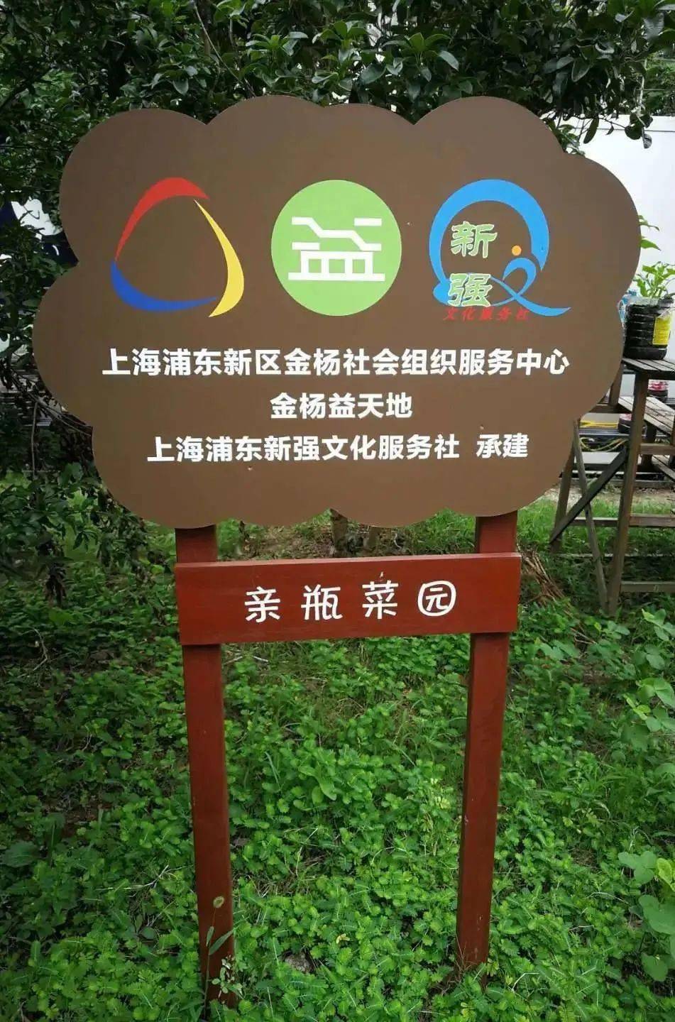 公益月益天地快乐的亲瓶菜园志愿者团队