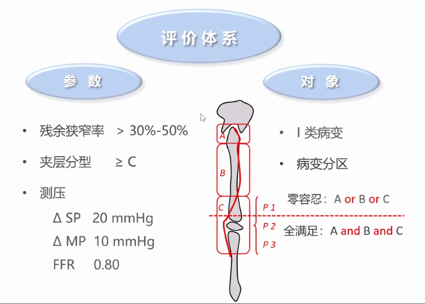 腘动脉血压测量位置图图片
